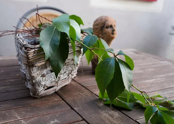 Leonhardt דירה *